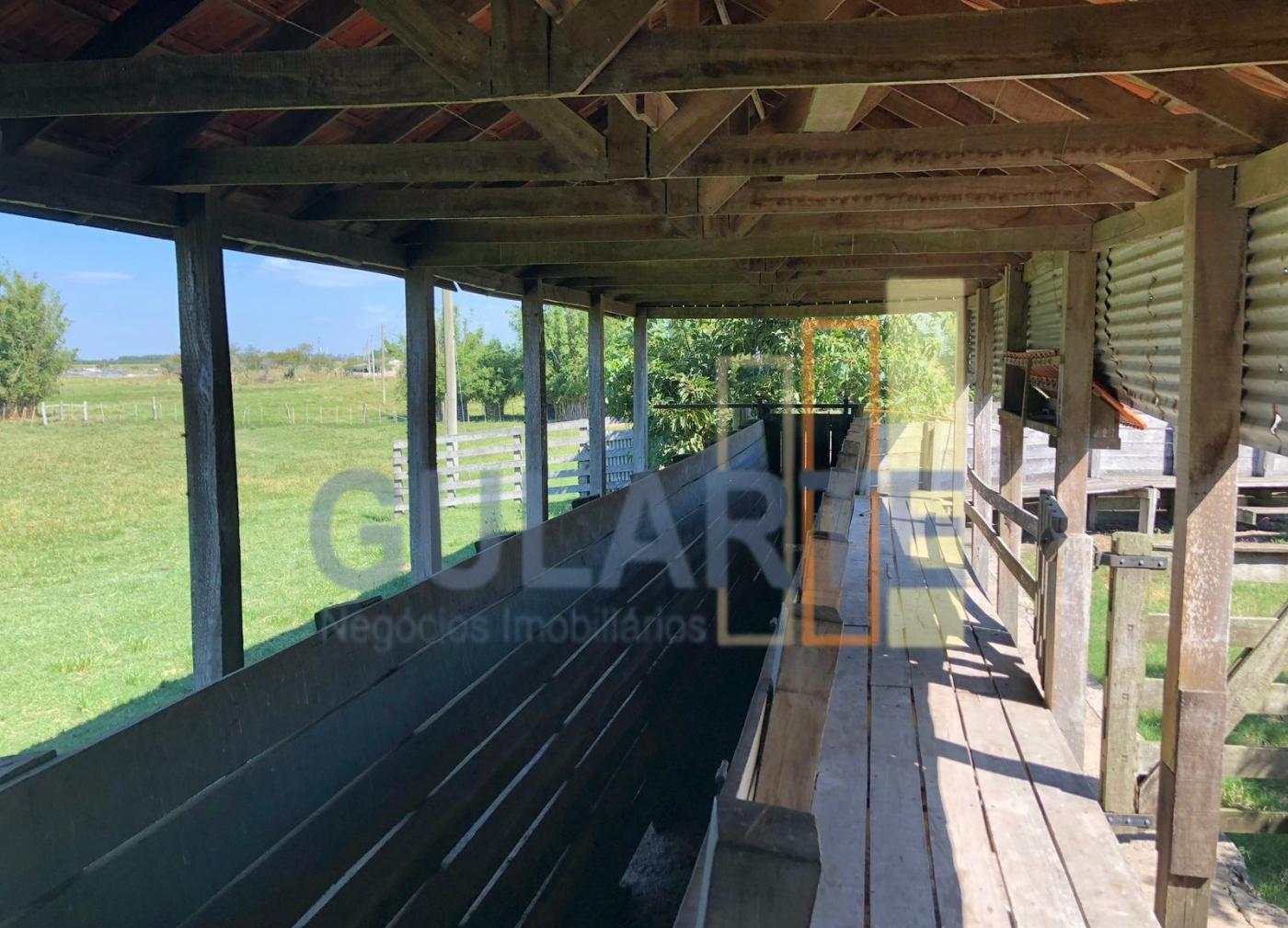 Fazenda, 903 hectares - Foto 17