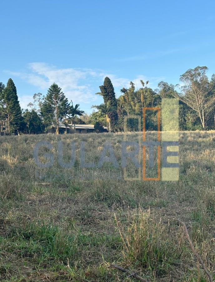 Fazenda, 903 hectares - Foto 14