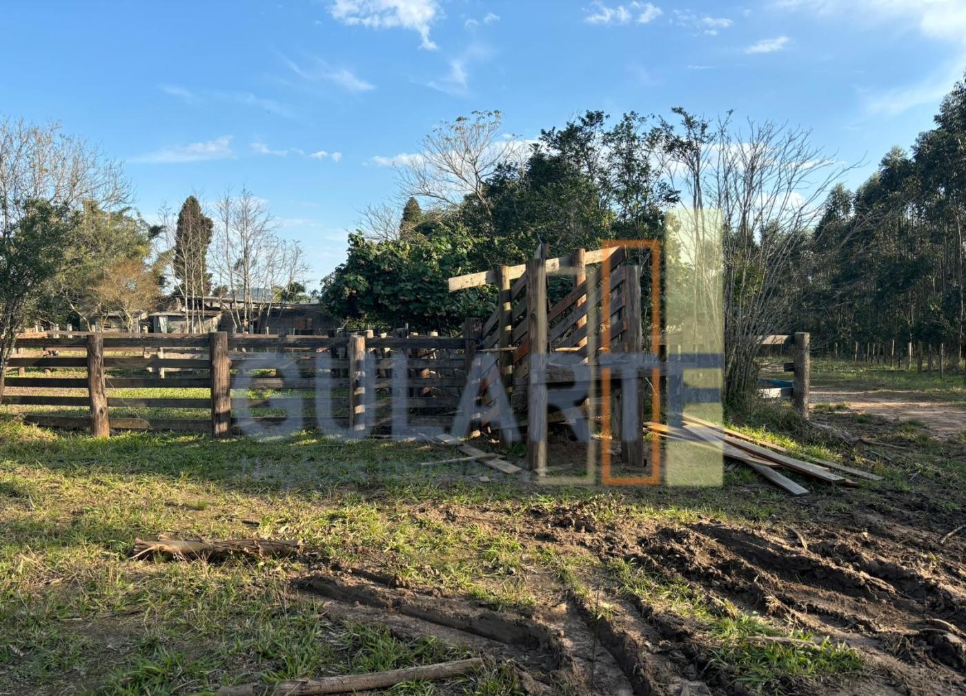 Fazenda, 903 hectares - Foto 19