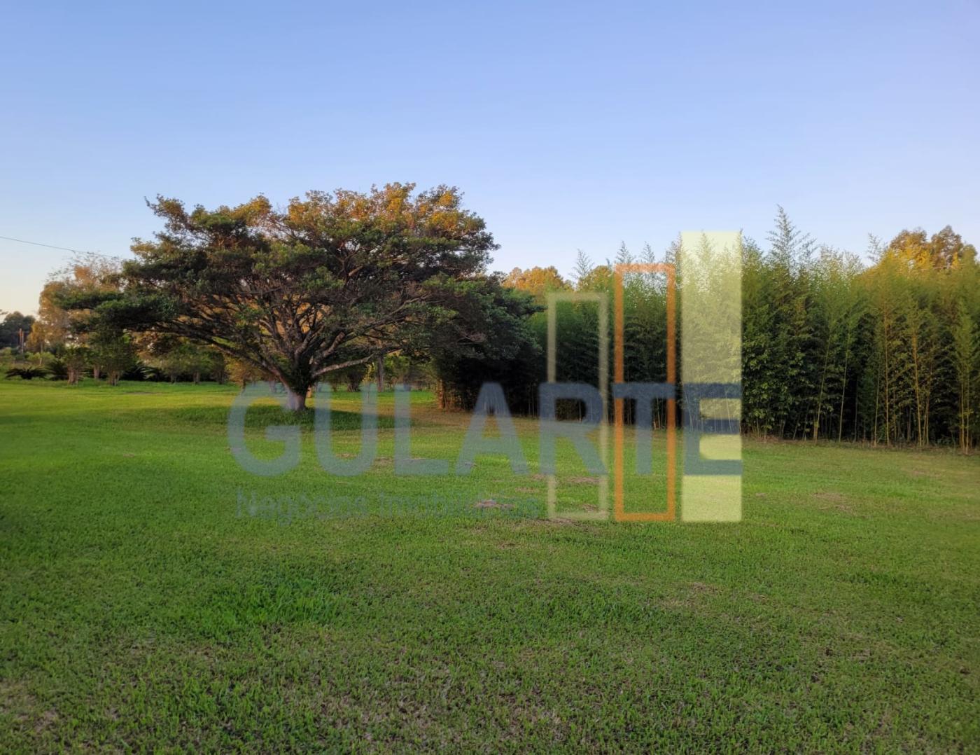 Chácara, 6 hectares - Foto 1