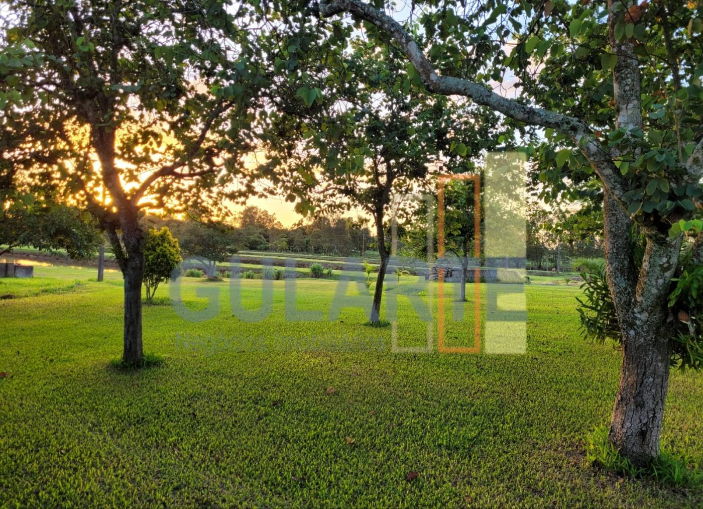 Chácara, 6 hectares - Foto 2