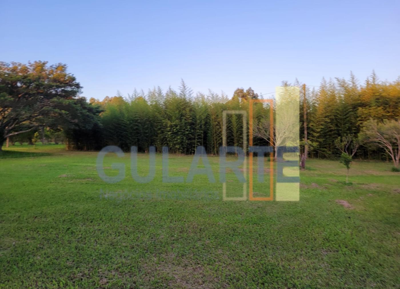 Chácara, 6 hectares - Foto 4