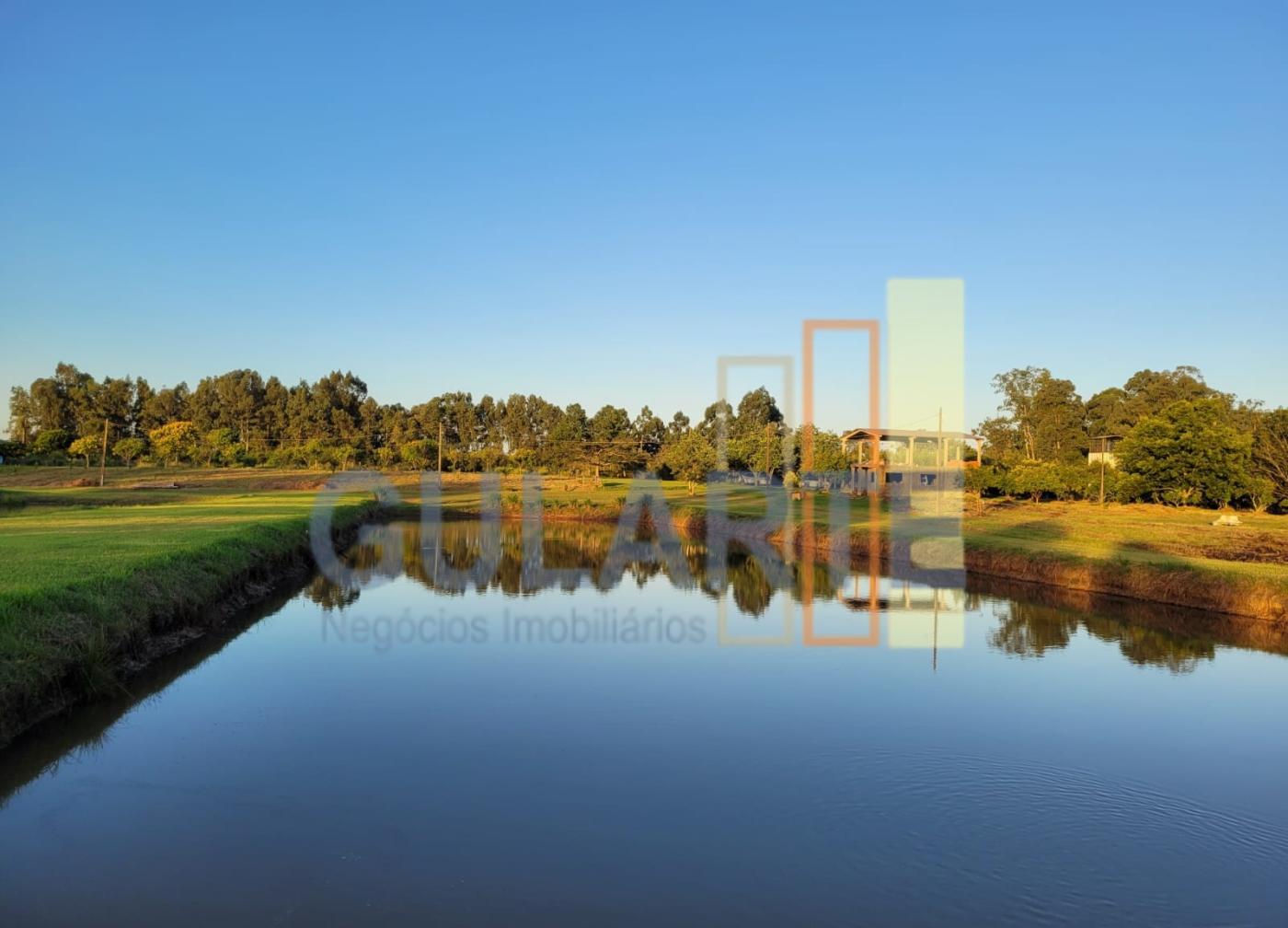 Chácara, 6 hectares - Foto 7