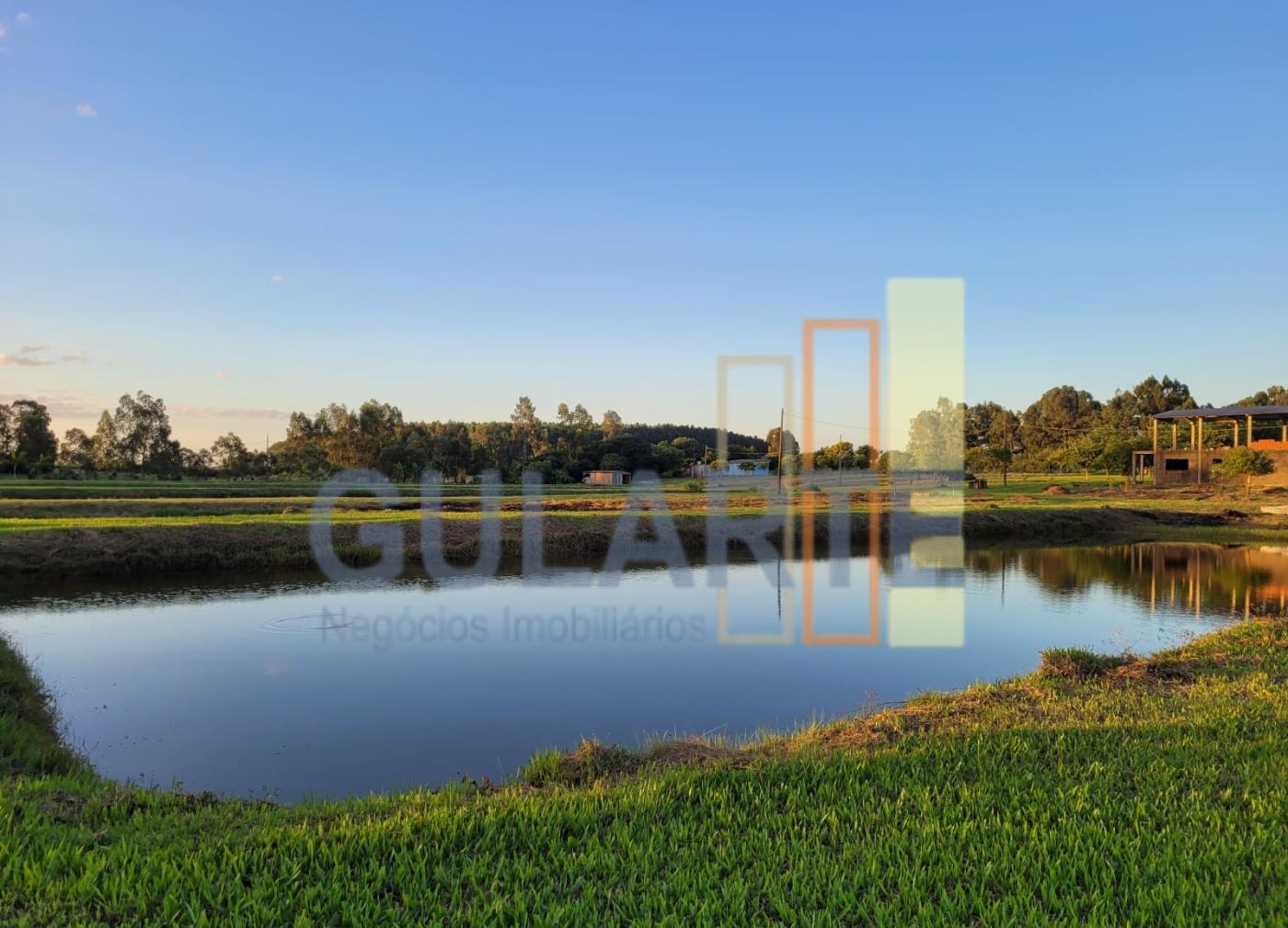 Chácara, 6 hectares - Foto 9