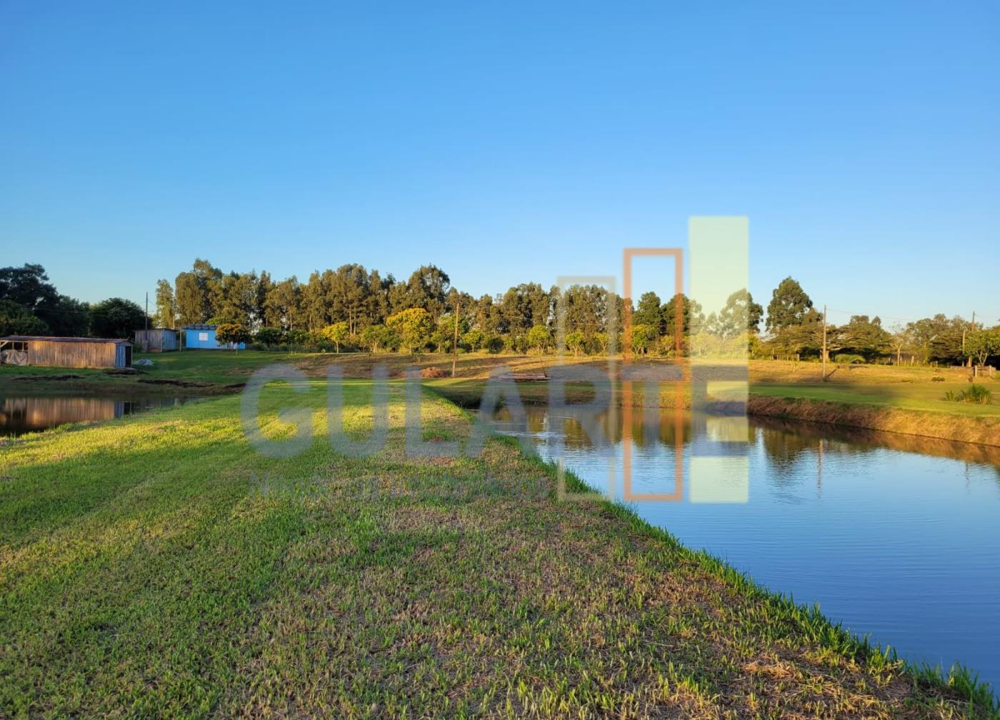 Chácara, 6 hectares - Foto 11