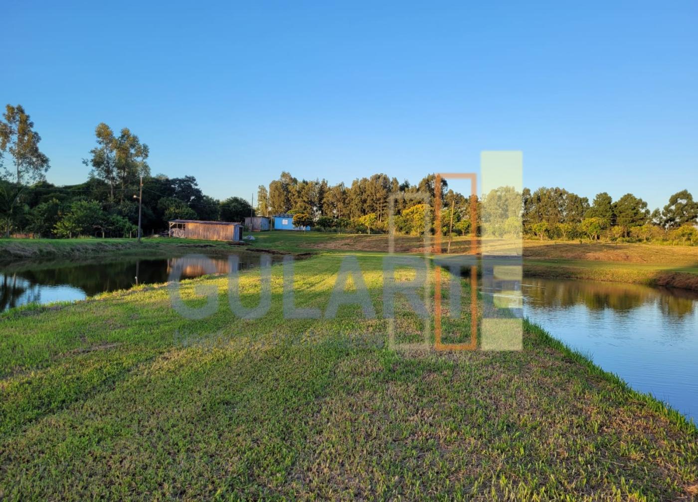 Chácara, 6 hectares - Foto 10