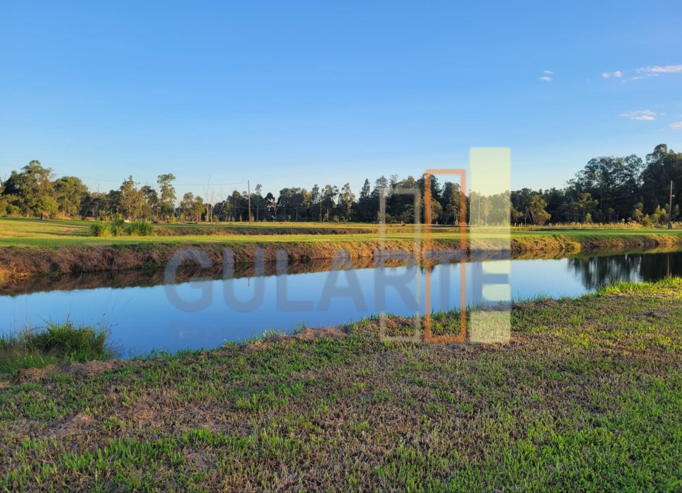 Chácara, 6 hectares - Foto 14