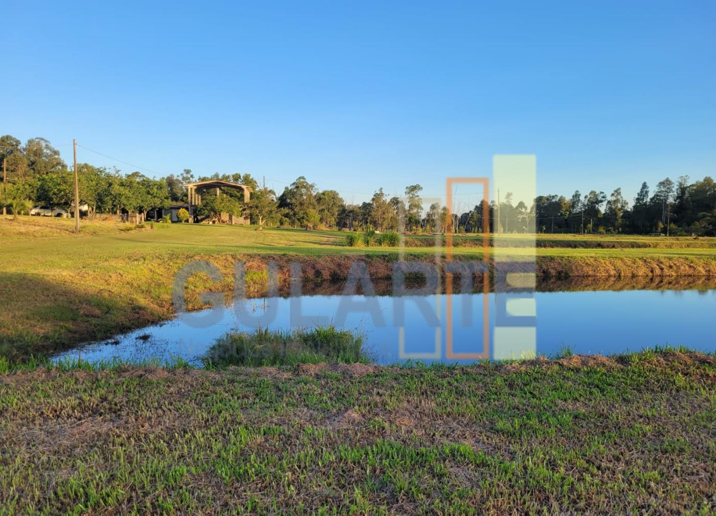 Chácara, 6 hectares - Foto 13