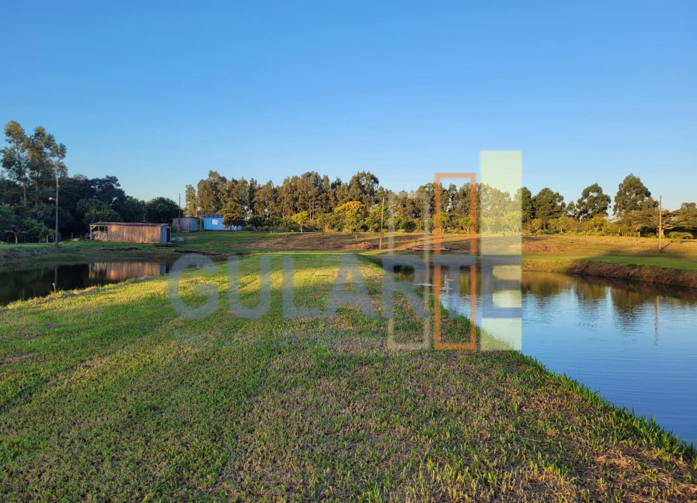 Chácara, 6 hectares - Foto 15