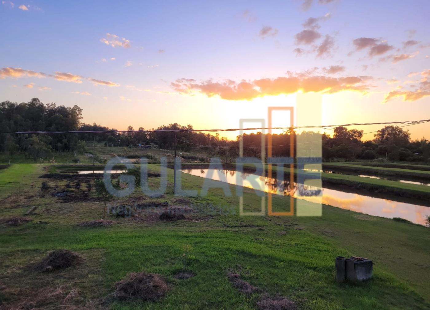 Chácara, 6 hectares - Foto 18