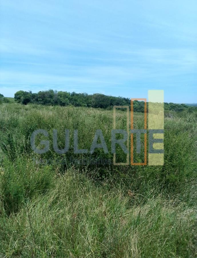 Fazenda, 540 hectares - Foto 1