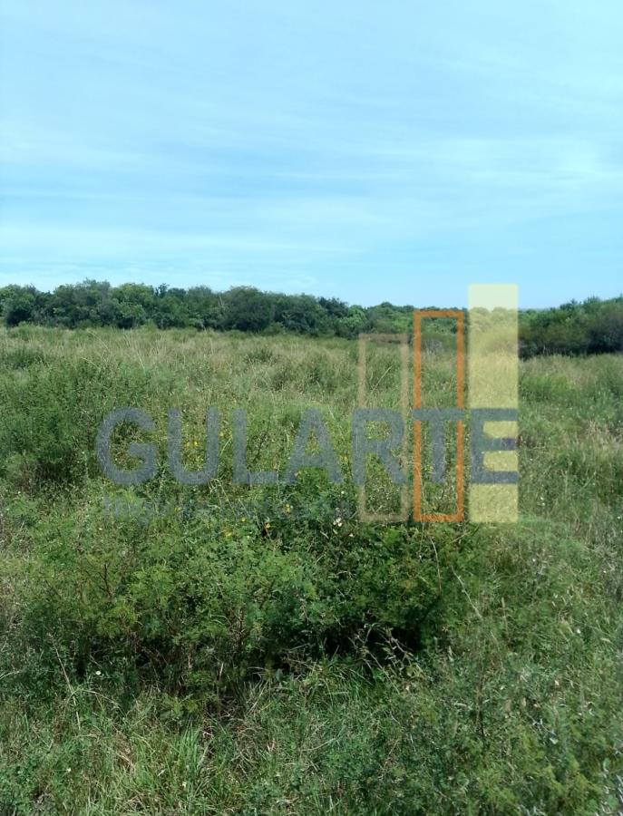 Fazenda, 540 hectares - Foto 2