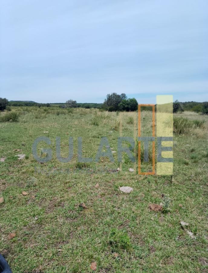 Fazenda, 540 hectares - Foto 3