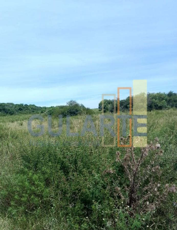 Fazenda, 540 hectares - Foto 4