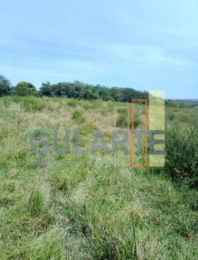 Fazenda, 540 hectares - Foto 5