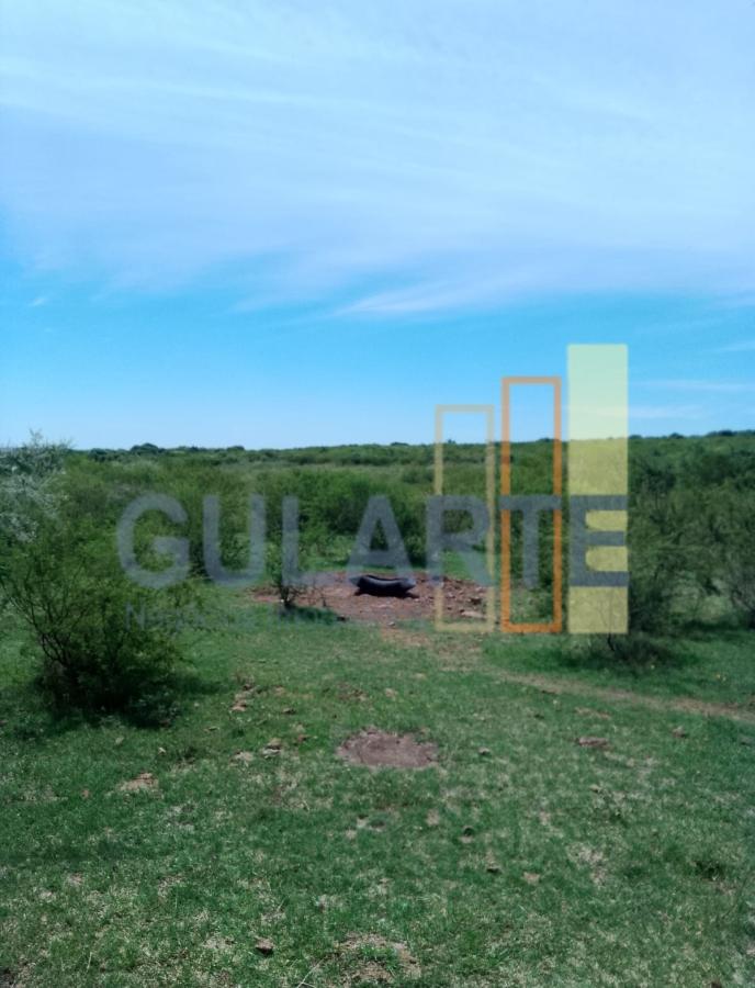 Fazenda, 540 hectares - Foto 6