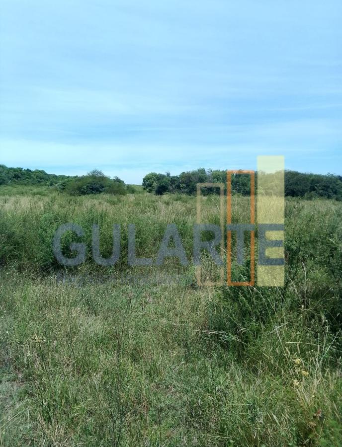 Fazenda, 540 hectares - Foto 9