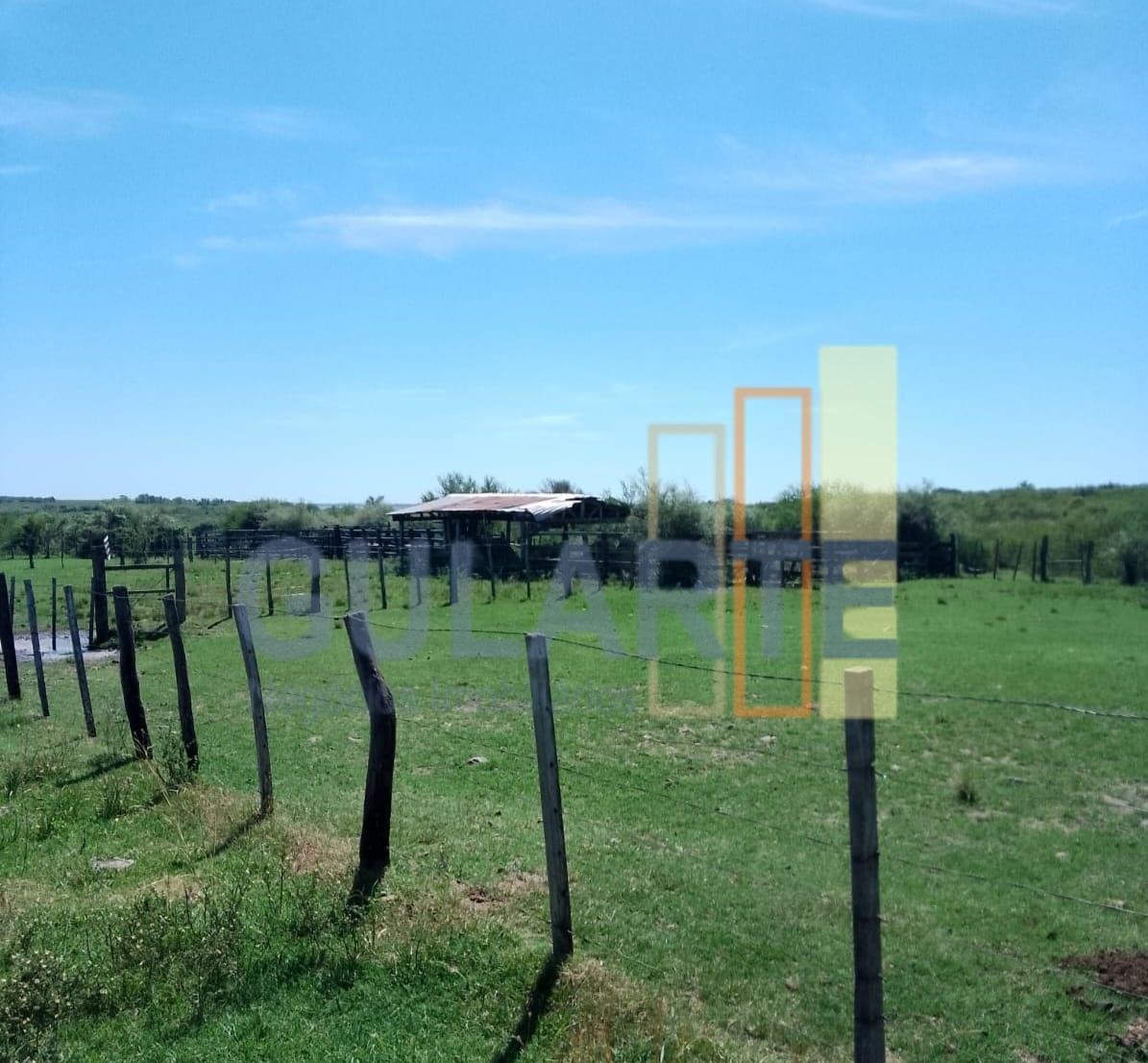 Fazenda, 540 hectares - Foto 8