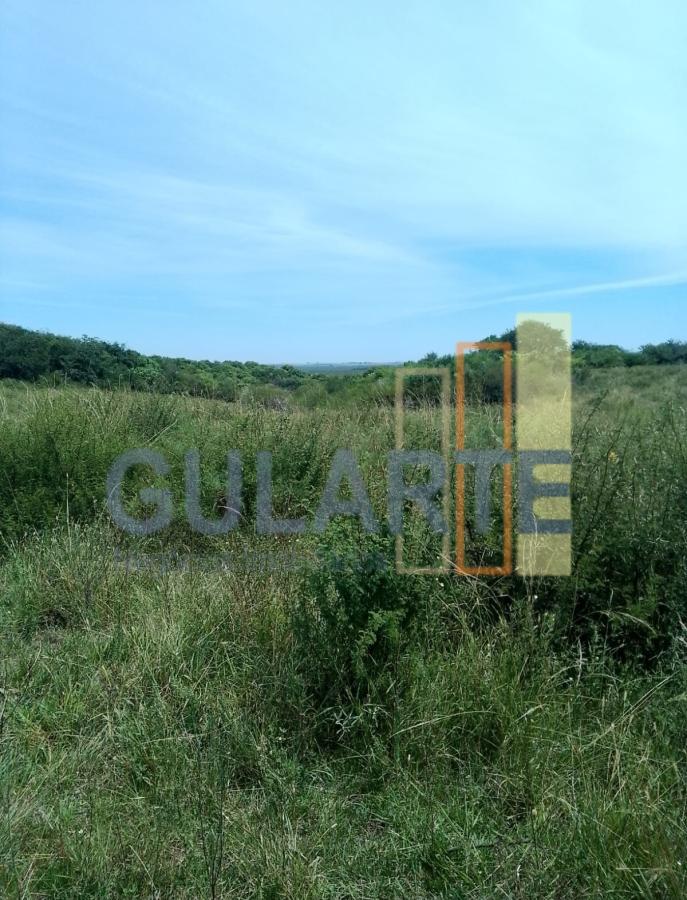 Fazenda, 540 hectares - Foto 7