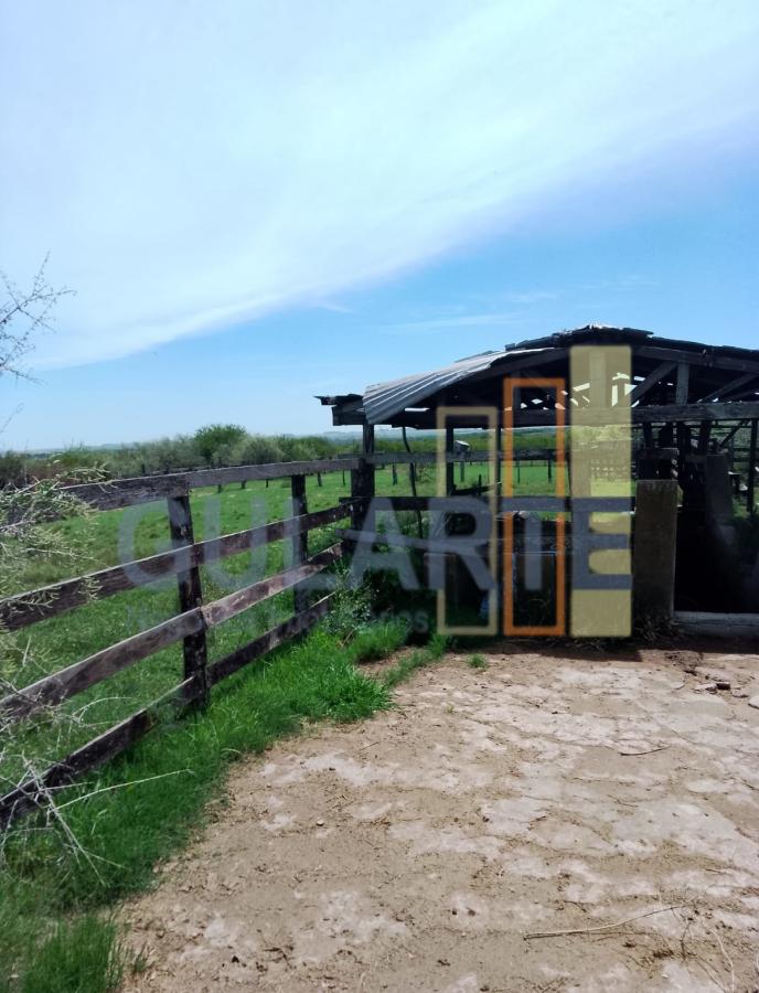 Fazenda, 540 hectares - Foto 12