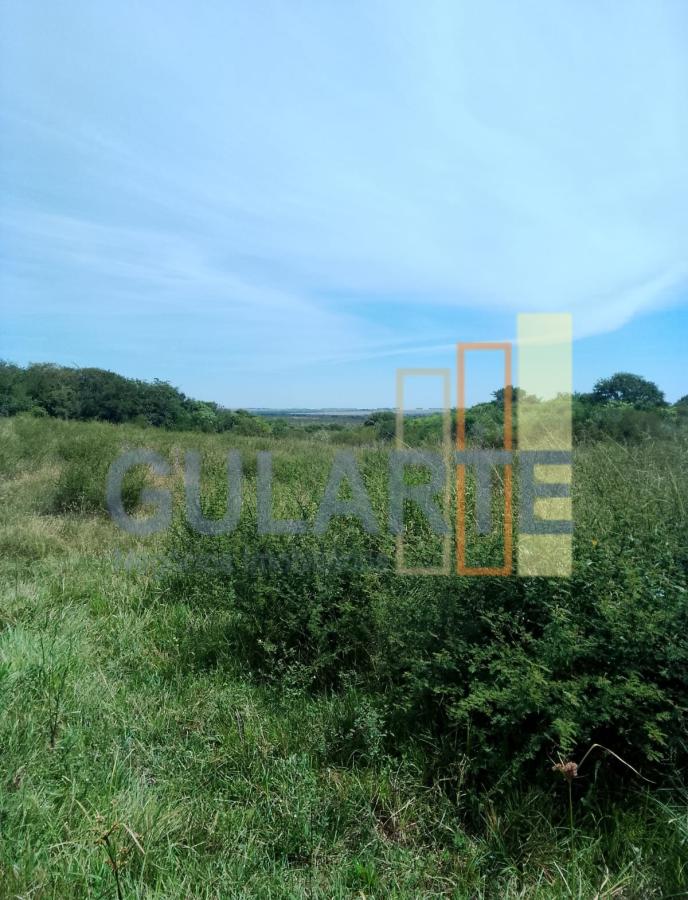 Fazenda, 540 hectares - Foto 11