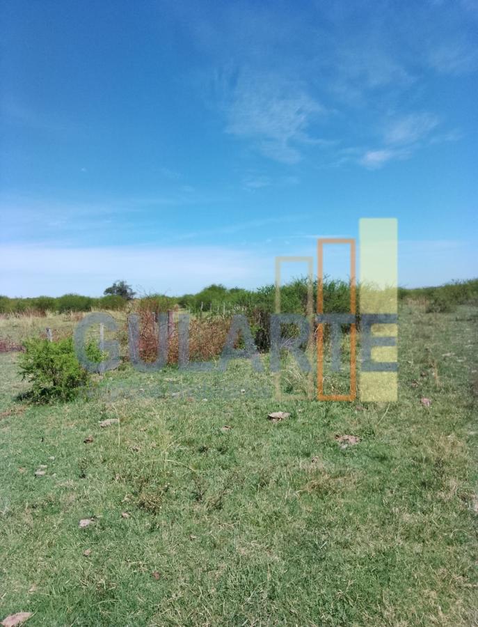 Fazenda, 540 hectares - Foto 10
