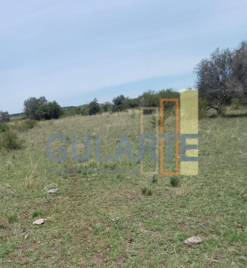 Fazenda, 540 hectares - Foto 13
