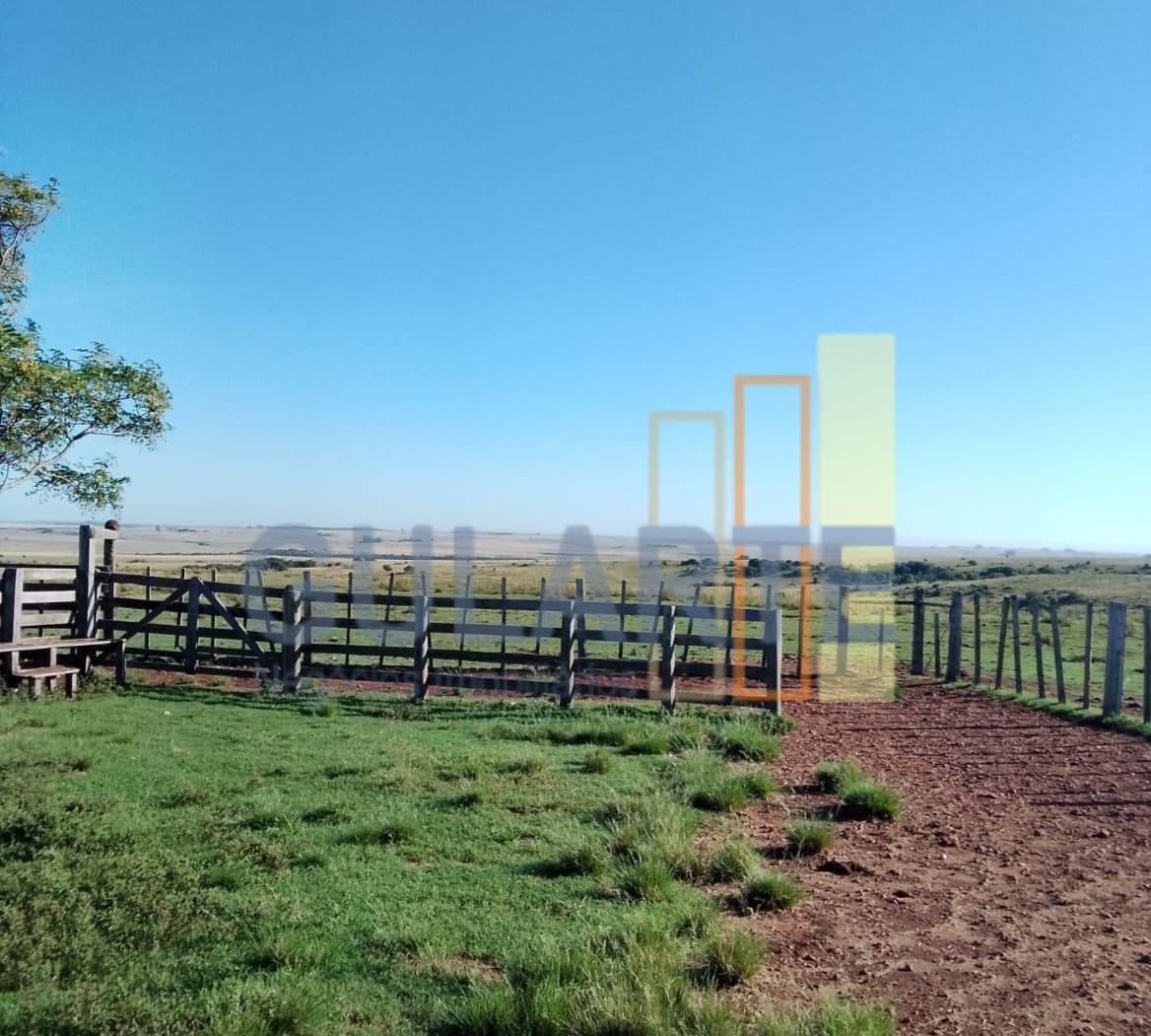 Fazenda, 458 hectares - Foto 4