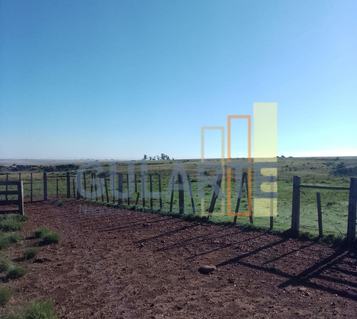 Fazenda, 458 hectares - Foto 3