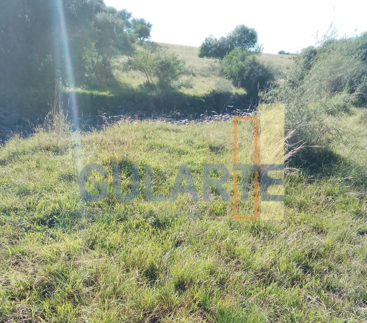 Fazenda, 458 hectares - Foto 5