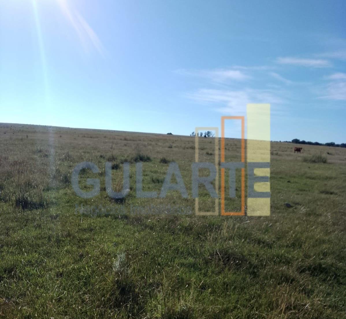 Fazenda, 458 hectares - Foto 1