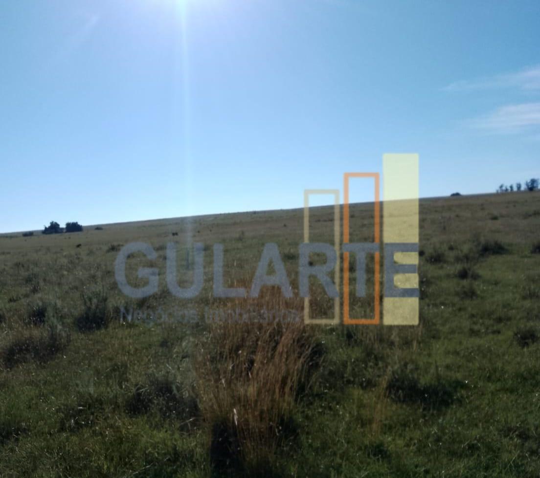 Fazenda, 458 hectares - Foto 6