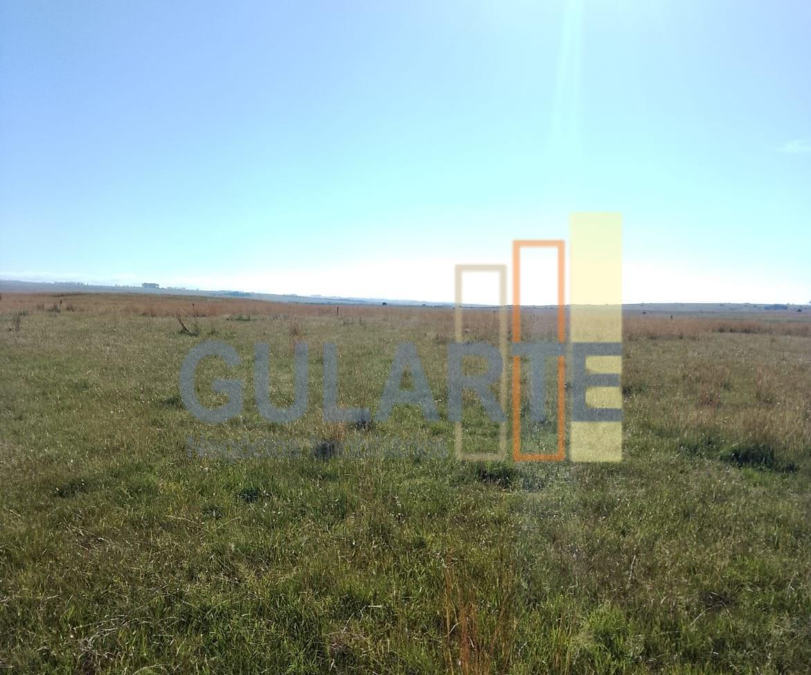 Fazenda, 458 hectares - Foto 8