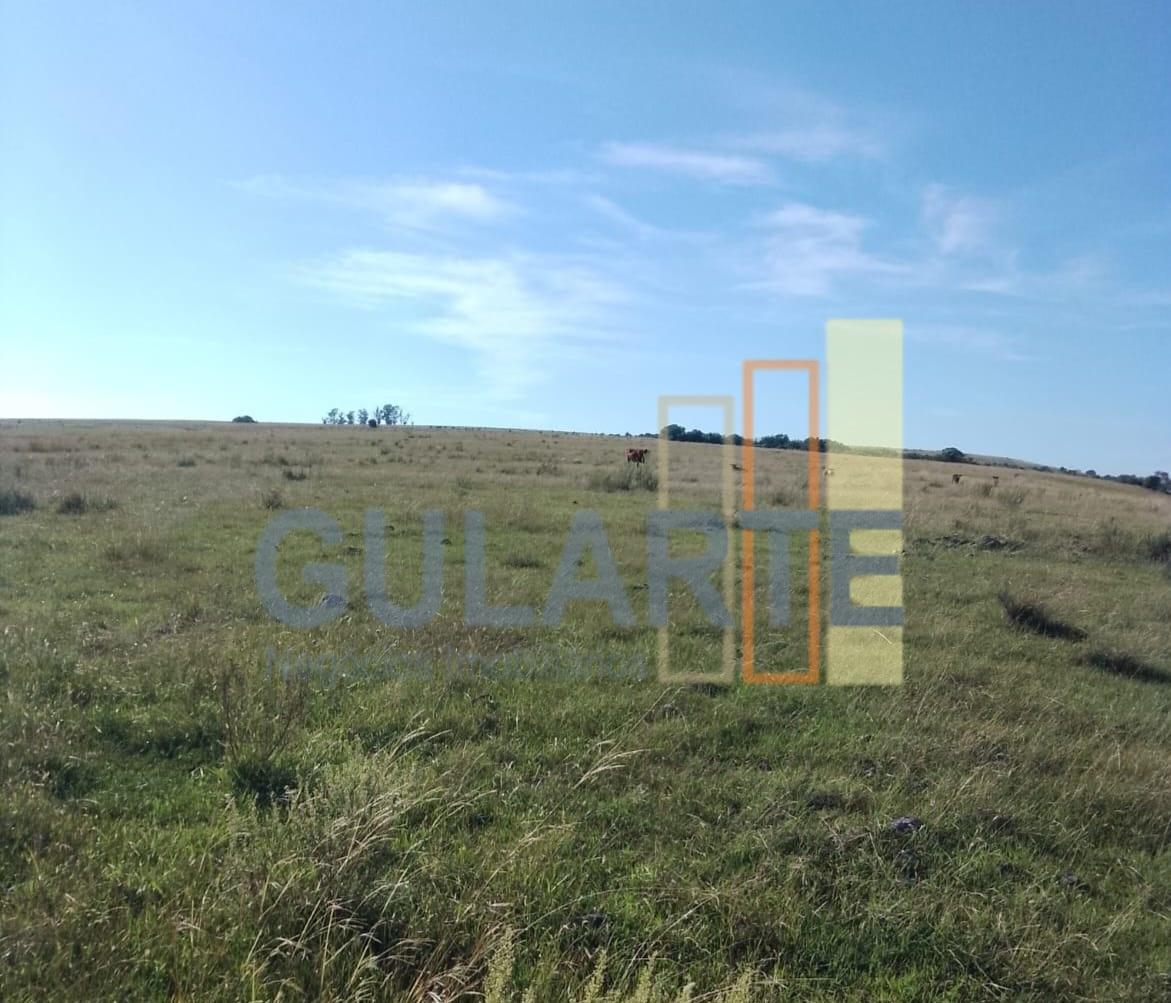 Fazenda, 458 hectares - Foto 9