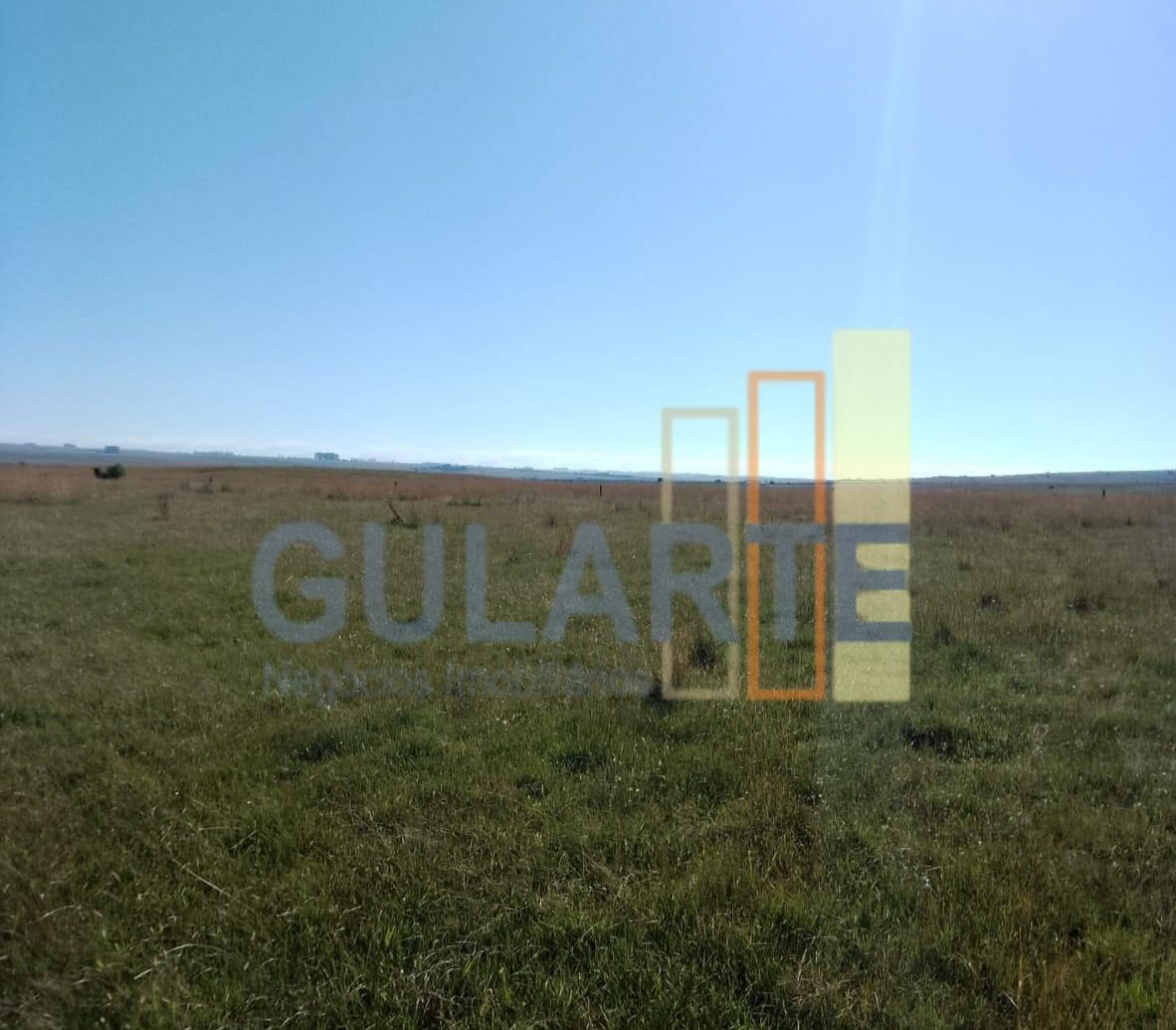 Fazenda, 458 hectares - Foto 10