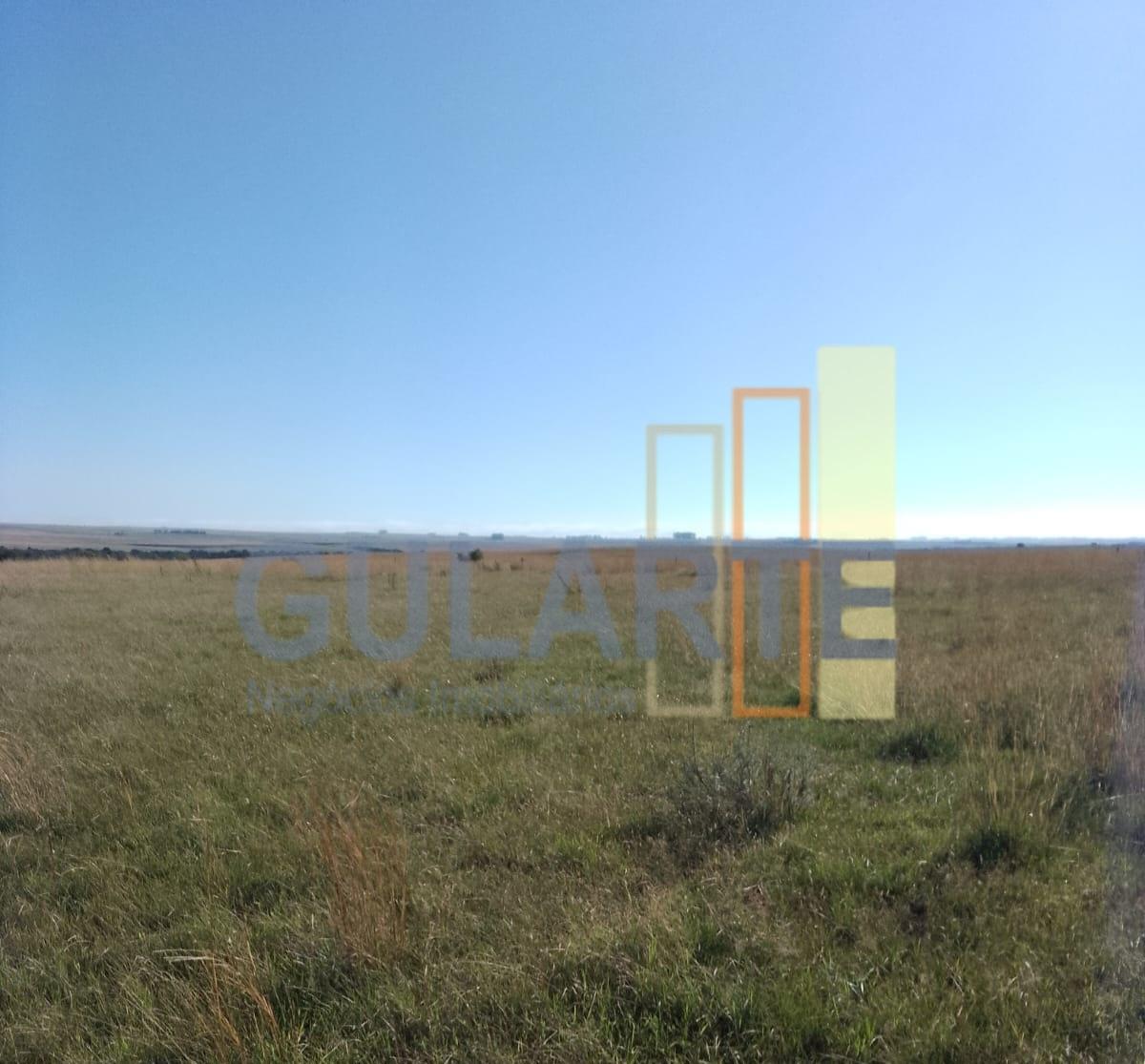 Fazenda, 458 hectares - Foto 7