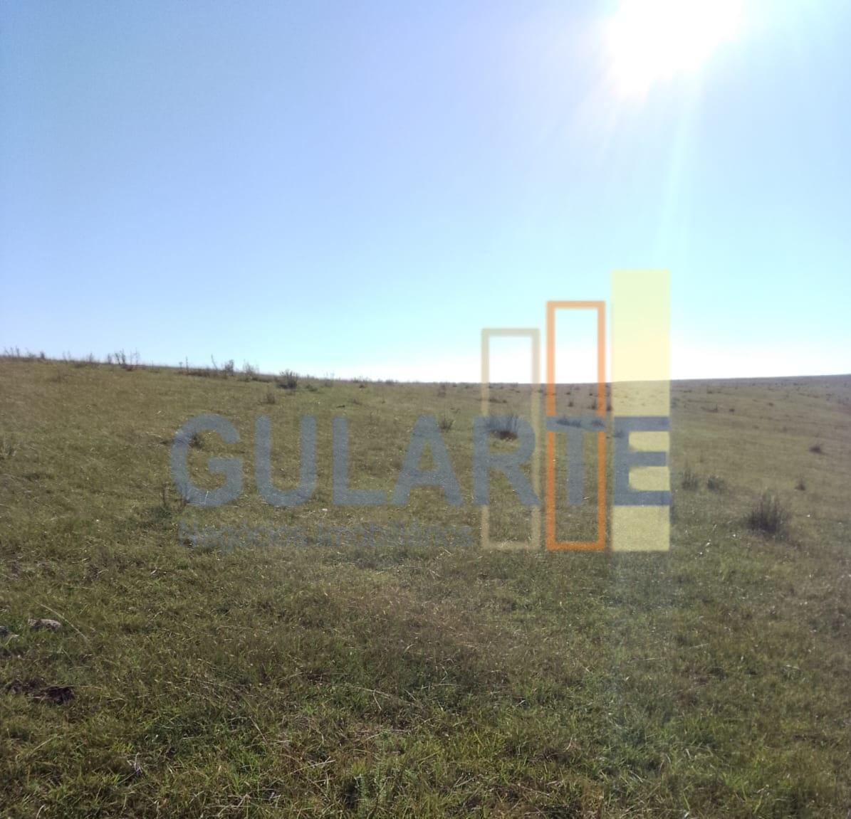 Fazenda, 458 hectares - Foto 15