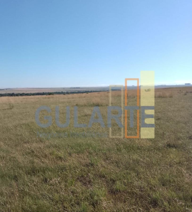 Fazenda, 458 hectares - Foto 11