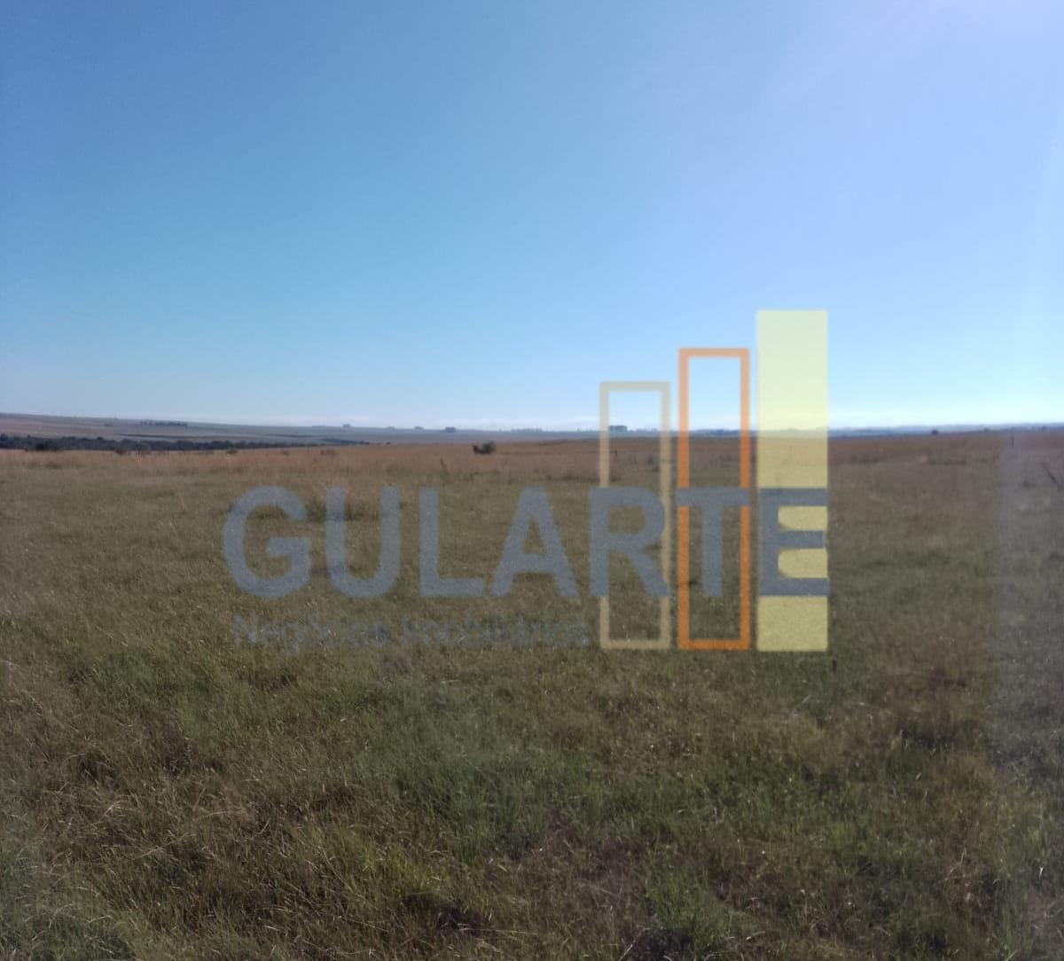 Fazenda, 458 hectares - Foto 12