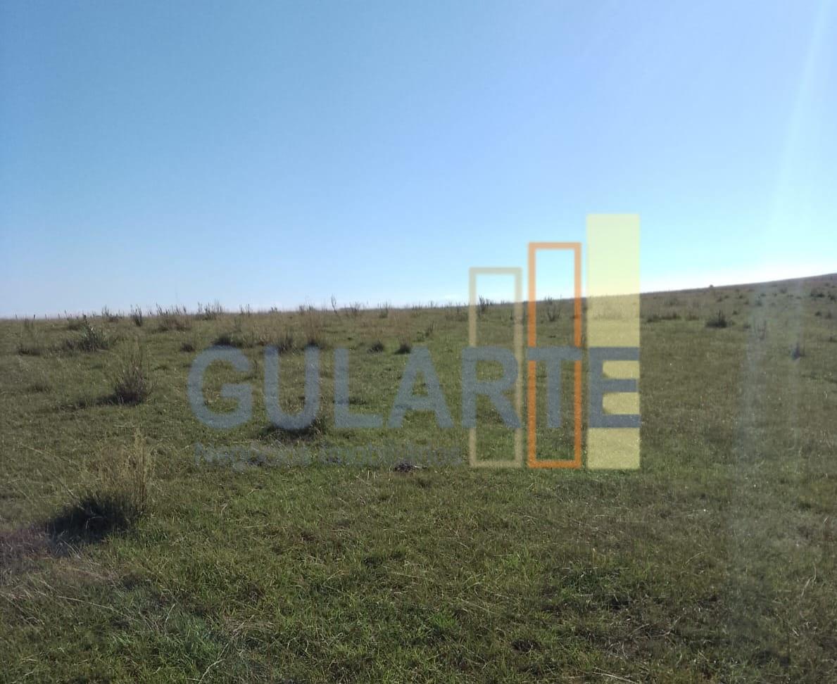 Fazenda, 458 hectares - Foto 13