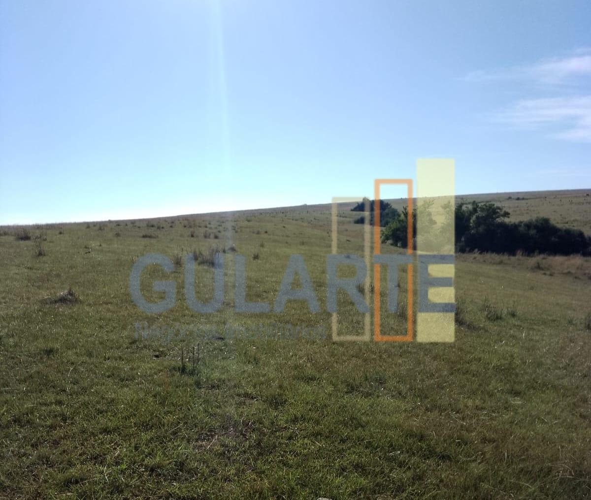 Fazenda, 458 hectares - Foto 16