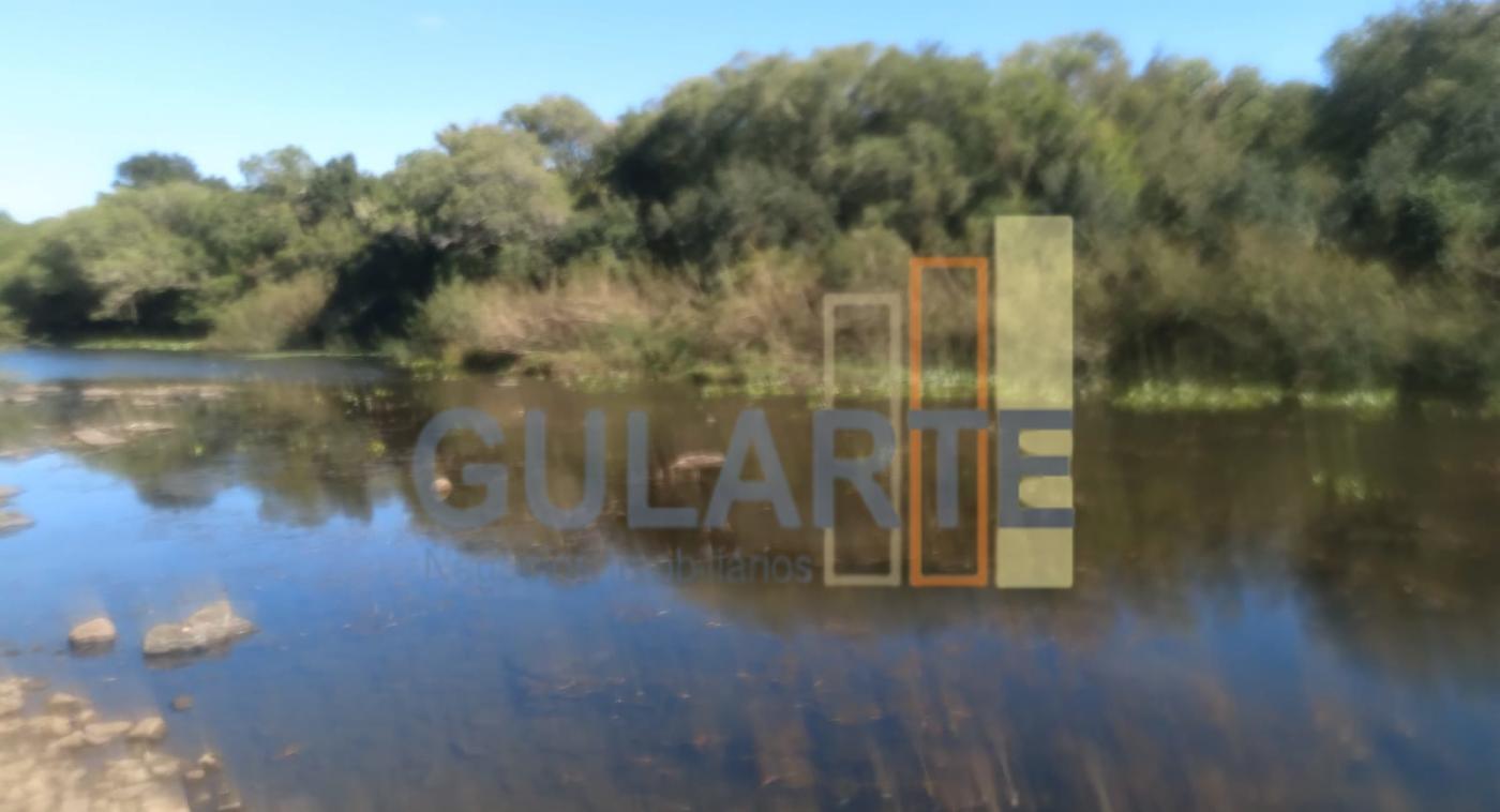 Fazenda, 458 hectares - Foto 19