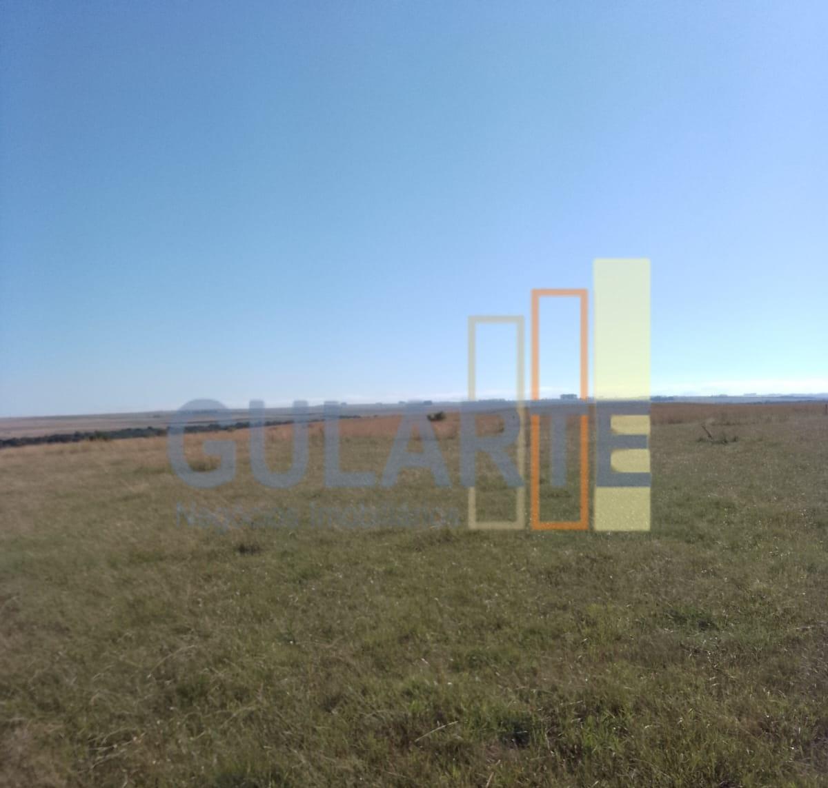 Fazenda, 458 hectares - Foto 17