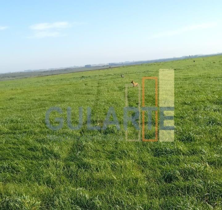 Fazenda à venda, 545m² - Foto 2