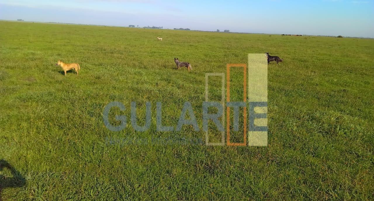 Fazenda à venda, 545m² - Foto 3