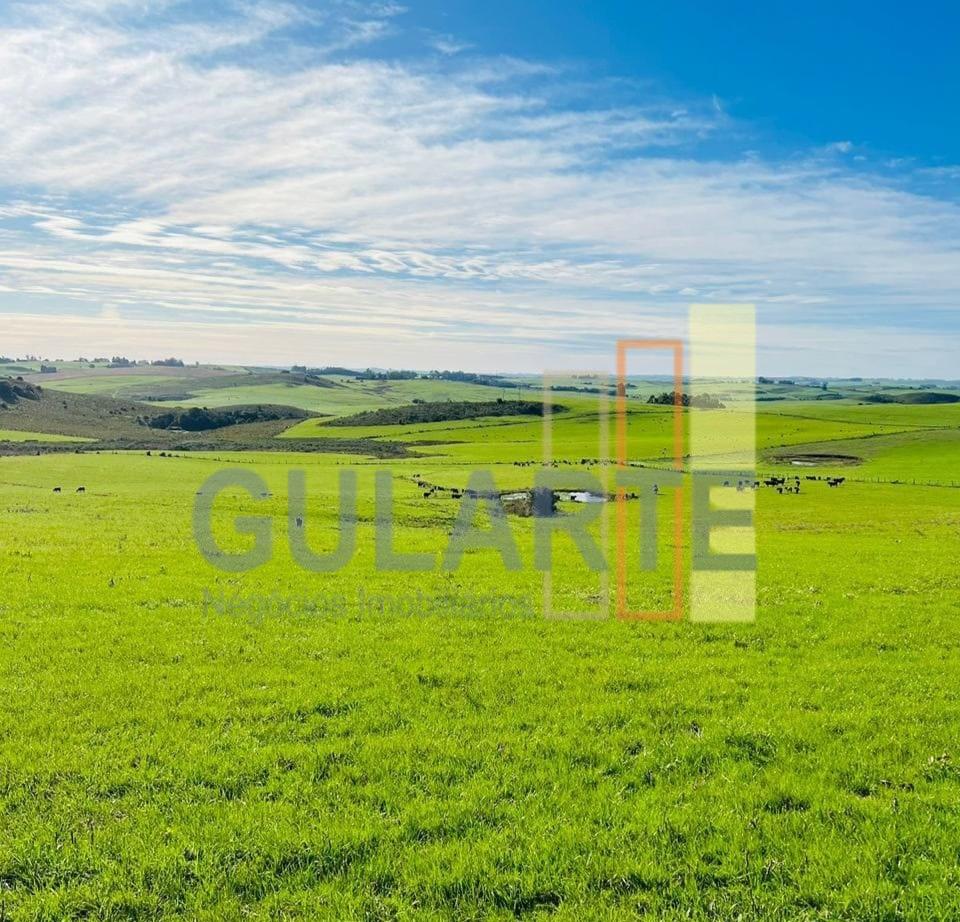Fazenda à venda, 545m² - Foto 1