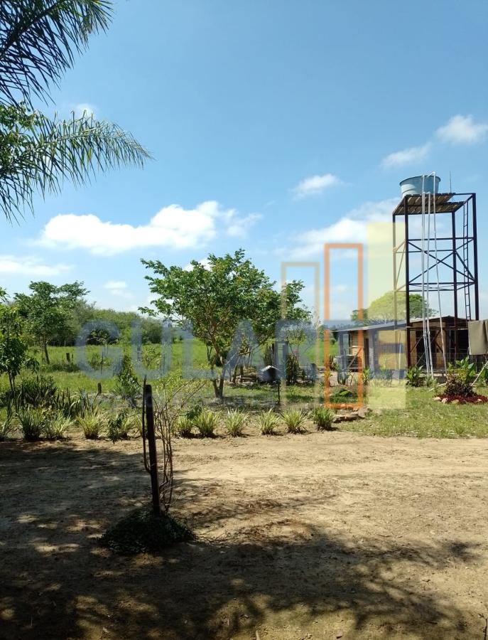 Casa, 20000 m² - Foto 7