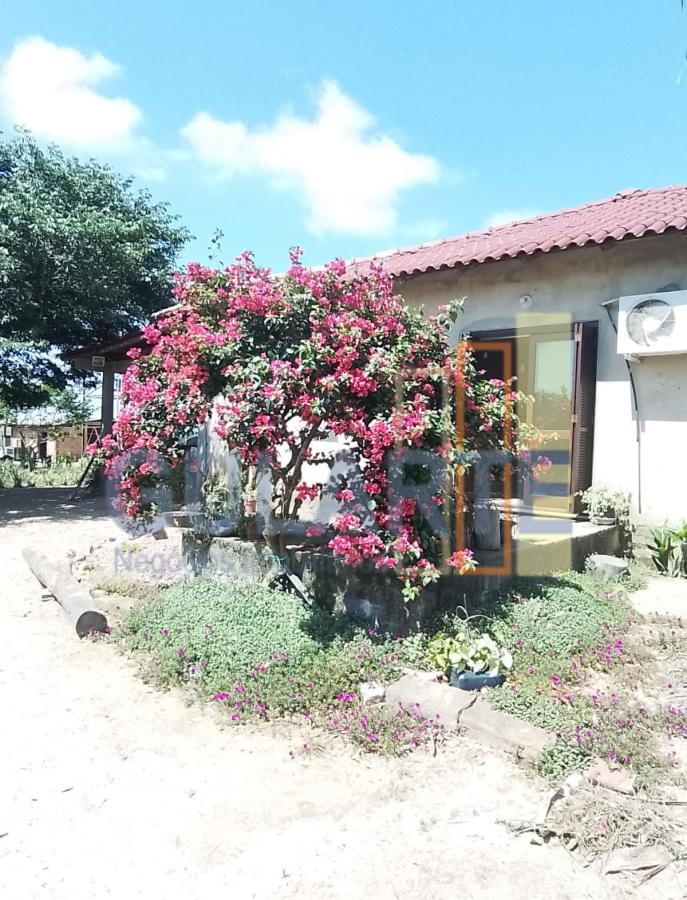 Casa, 20000 m² - Foto 3