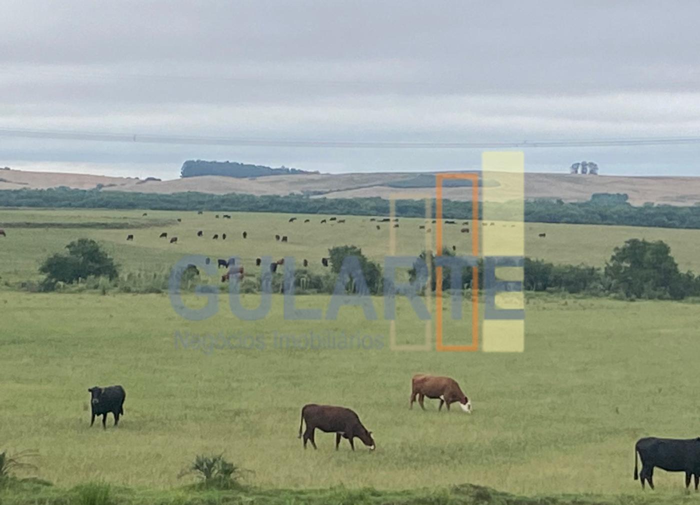 Fazenda à venda, 440m² - Foto 2