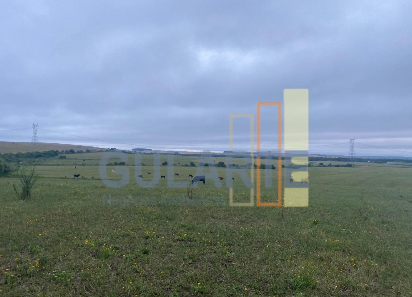 Fazenda à venda, 440m² - Foto 3